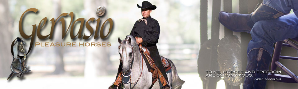Rick Gervasio Pleasure Horses