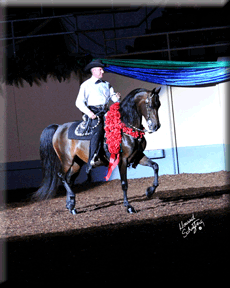 Rick Gervasio & Hollybrook Touche, 2012 World Champion Western Pleasure