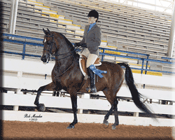 Treble's Take The Stage